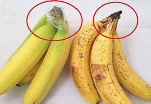 วิธีเก็บกล้วยไว้กินนานๆ