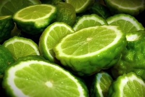 มะกรูด ป้องกัน `ยุงลาย`