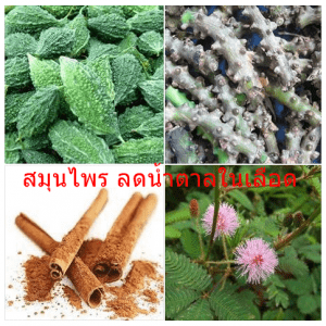 สมุนไพร ลดน้ำตาลในเลือด