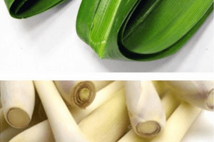 สูตรชาแก้เก๊าท์