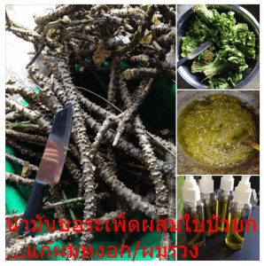 น้ำมันบอระเพ็ดผสมใบบัวบก...แก้ผมหงอกผมร่วง