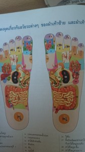 รูปใต้เท้าของเรา