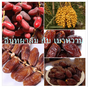 อินทผาลัม กับ เบาหวาน