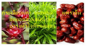 กระเจี๊ยบแดง พุทราจีน เตยหอม