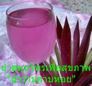 น้ำสมุนไพรเพื่อสุขภาพ  น้ำว่านกาบหอย