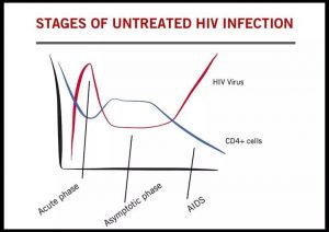 การติดเชื้อเอชไอวี ก็คือ การติดเชื้อที่ทำลายเซลล์เม็ดเลือดขาว CD4 นั่นเอง