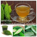 สูตรตำรับยาจากมะระขี้นกรักษาเบาหวานและช่วยลดน้ำตาลในเลือด