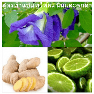 สูตรทำแชมพูให้ผมนิ่มและดกดำ