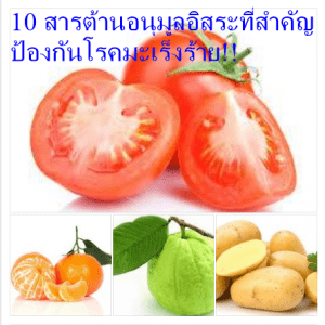 10 สารต้านอนุมูลอิสระที่สำคัญ ป้องกันโรคมะเร็งร้าย!!