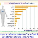 อวัยวะทุกๆ ส่วนในร่างกายต้องการ โคเอนไซม์ คิว 10