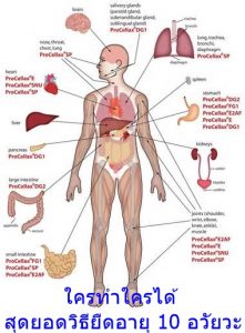 ใครทำใครได้ สุดยอดวิธียืดอายุ 10 อวัยวะ