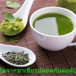 สารสกัดจากชาเขียวปลอดภัยต่อตับไหม?