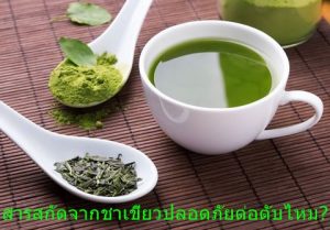 สารสกัดจากชาเขียวปลอดภัยต่อตับไหม