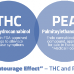 Enturage effects ในระบบเอ็นโดแคนนาบินอยด์