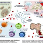 เรื่องน่ารู้ เกี่ยวกับ Sarcopenia