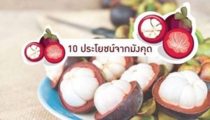 10 ประโยชน์จาก มังคุด – ราชินีแห่งผลไม้เมืองร้อน บำรุงผิวพรรณ ป้องกันโรค