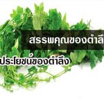 สรรพคุณของตำลึง