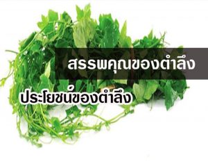 สรรพคุณของตำลึง