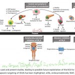 กัญชา กับการพัฒนาเพื่อใช้ในการรักษาโรคทางด้านระบบการเผาผลาญพลังงาน (Metabolism)