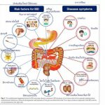 การปล่อยให้ลำไส้รั่ว หรือ Leaky gut นำไปสู่การเกิดโรคอะไรบ้าง