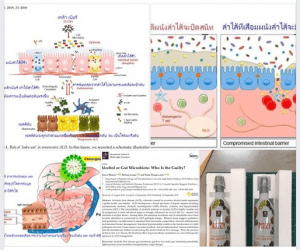 เหล้า เบียร์ ทำให้ลำไส้รั่ว เพิ่มพิษต่อตับ แก้ไขได้ง่ายๆ