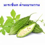มะระขี้นก ต้านเบาหวาน