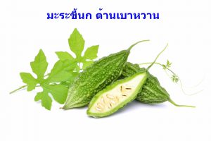 มะระขี้นก ต้านเบาหวาน