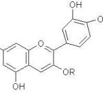 anthocyanin / แอนโทไซยานิน