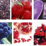 anthocyanin / แอนโทไซยานิน