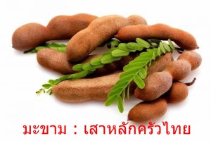 มะขาม : เสาหลักครัวไทย