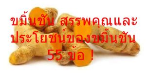 ขมิ้นชัน สรรพคุณและประโยชน์ของขมิ้นชัน 55 ข้อ !