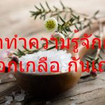 มาทำความรู้จักกับ ดอกเกลือ กันเถอะ