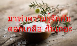 มาทำความรู้จักกับ ดอกเกลือ กันเถอะ
