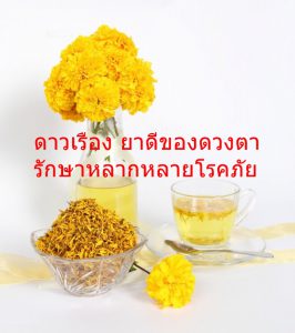 ดาวเรือง ยาดีของดวงตา รักษาหลากหลายโรคภัย