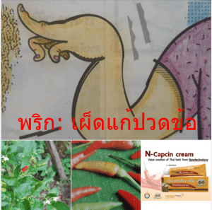 พริก: เผ็ดแก้ปวดข้อ
