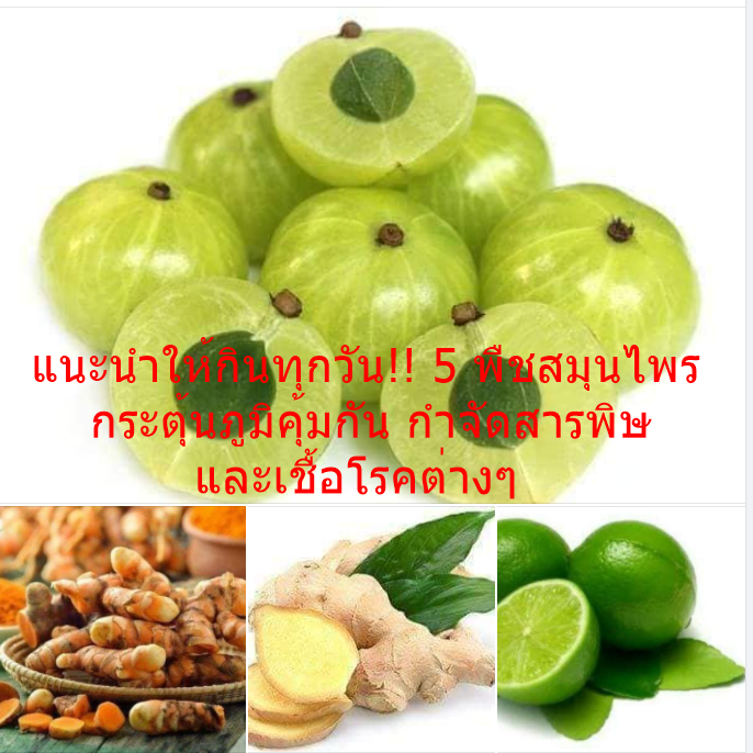 My Image 29