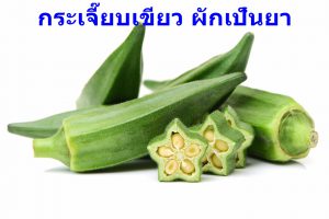 กระเจี๊ยบเขียว ผักเป็นยา