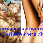 สูตรยาพอกเข่าแก้ปวดเก๊าท์ ด้วยสมุนไพรในครัว ทำง่าย เห็นผลไว