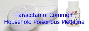 Paracetamol Common Household Poisonous Medicine