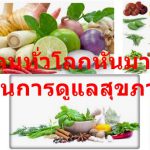 5 เหตุผลที่คนทั่วโลกหันมาใช้สมุนไพร เป็นที่พึ่งในการดูแลสุขภาพมากขึ้น