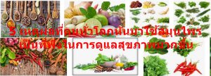 5 เหตุผลที่คนทั่วโลกหันมาใช้สมุนไพร เป็นที่พึ่งในการดูแลสุขภาพมากขึ้น