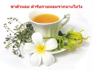 ชาตัวหอม ตำรับกายหอมจากนางในวัง