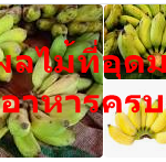 กล้วย ผลไม้ที่อุดมไปด้วยสารอาหารครบถ้วน