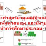 ถ้าจะทำสูตรยาดูแลผู้ป่วยมะเร็ง แบบพึ่งพาตนเอง และมีงานวิจัยทำการศึกษาประกอบ