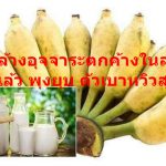 สูตรล้างอุจจาระตกค้างในลำไส้…ทำแล้ว พุงยุบ ตัวเบาหวิวสุดๆ