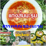 สรรพคุณของมะรุม