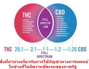 สิ่งที่น่าห่วงเกี่ยวกับการใช้กัญชาทางการแพทย์ในช่วงที่ไม่มีความชัดเจนของภาครัฐ