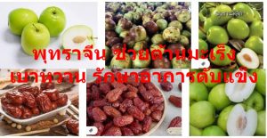 พุทราจีน ช่วยต้านมะเร็ง เบาหวาน รักษาอาการตับแข็ง