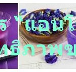 อัญชันมีสาร “แอนโธไซยานิน” เพิ่มประสิทธิภาพของดวงตา