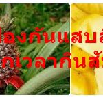 วิธีป้องกันแสบลิ้นแสบปากเวลากินสับปะรด